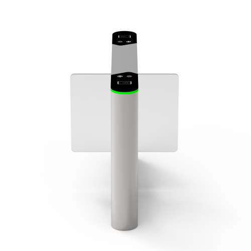 Image4